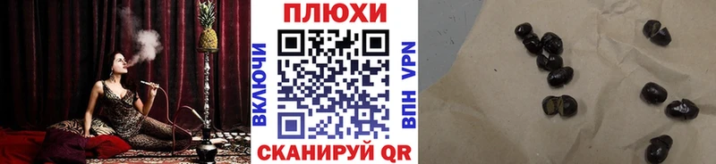 ГАШ Premium  Волосово 