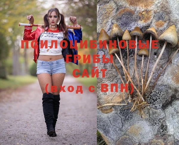 дурь Белоозёрский