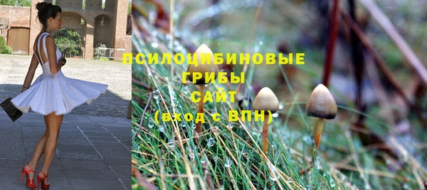 ГАЛЛЮЦИНОГЕННЫЕ ГРИБЫ Беломорск