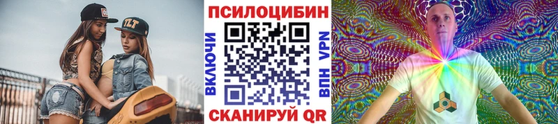 купить наркоту  Волосово  Псилоцибиновые грибы Magic Shrooms 