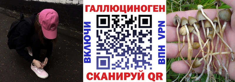 Псилоцибиновые грибы ЛСД Волосово