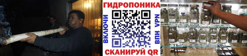 Бошки марихуана план  Волосово 